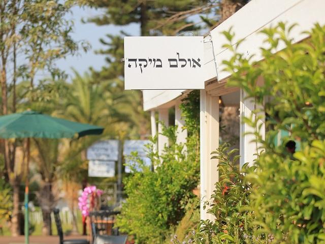 תמונה 8 של מיקה